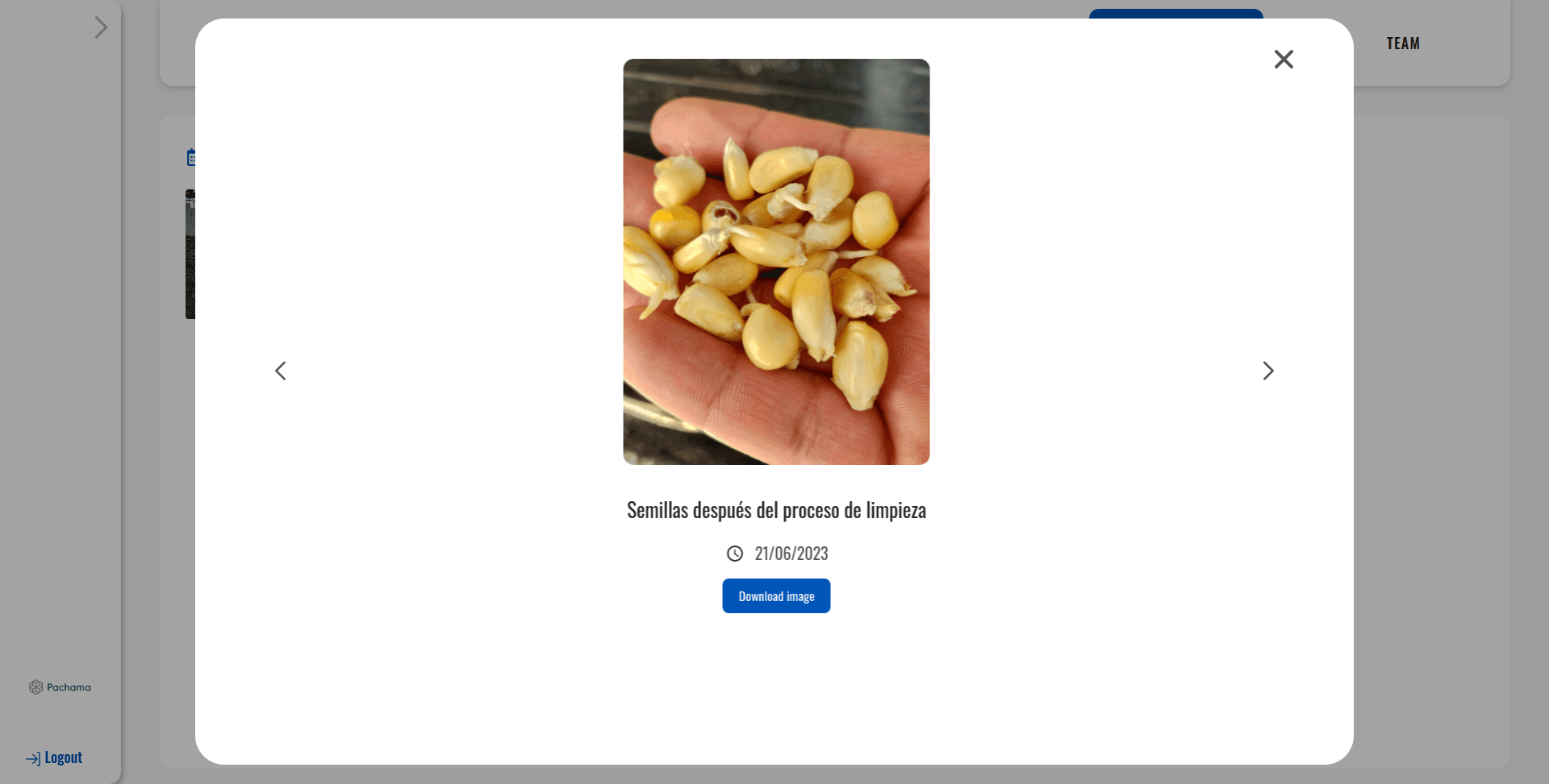 Photoblog modal