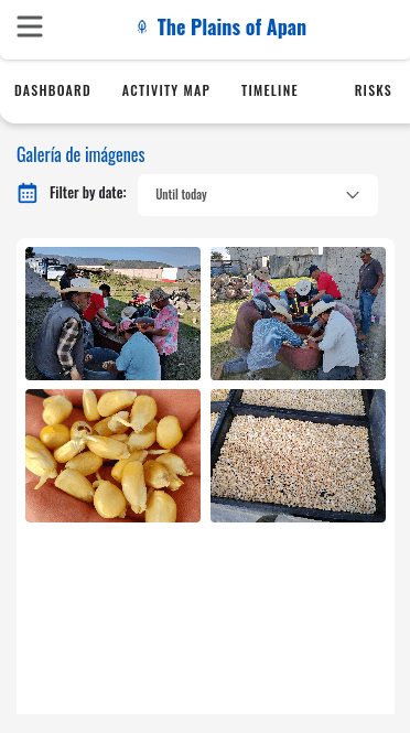 Responsive photoblog section