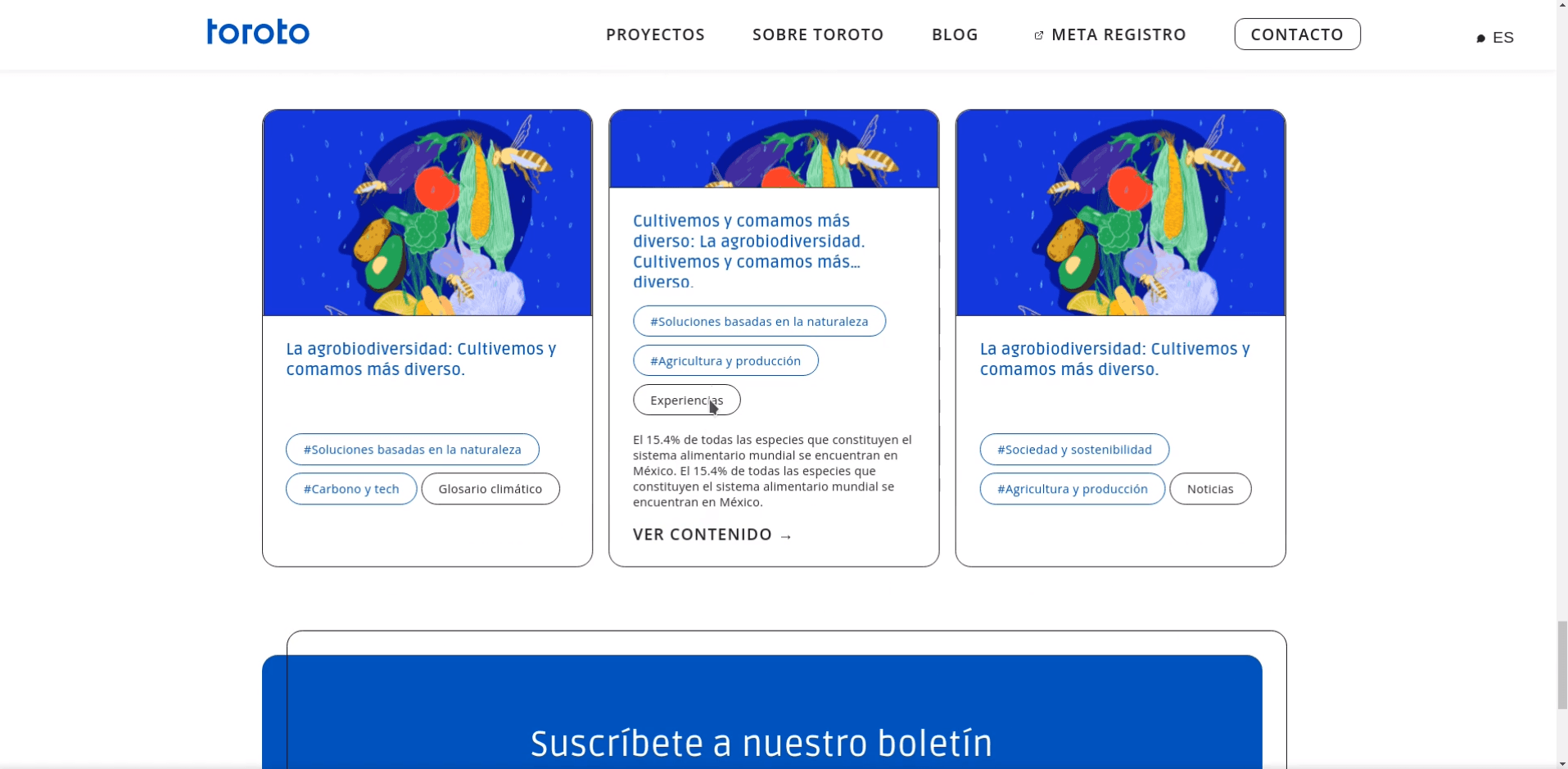 Blog cards